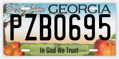GA license plate PZB0695