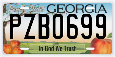 GA license plate PZB0699