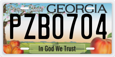 GA license plate PZB0704