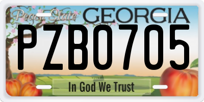 GA license plate PZB0705