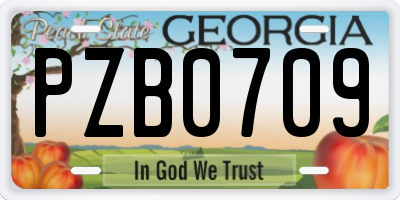 GA license plate PZB0709
