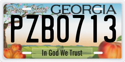 GA license plate PZB0713