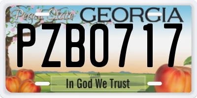 GA license plate PZB0717