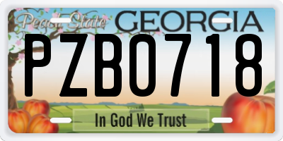 GA license plate PZB0718