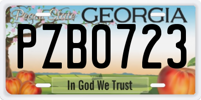 GA license plate PZB0723