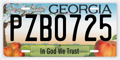 GA license plate PZB0725