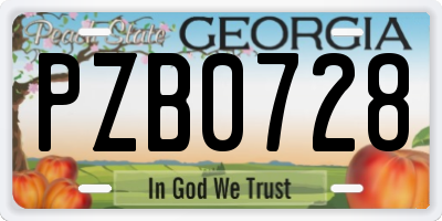 GA license plate PZB0728