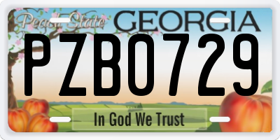 GA license plate PZB0729