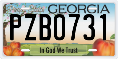 GA license plate PZB0731