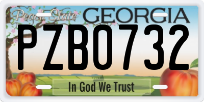 GA license plate PZB0732
