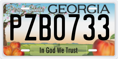 GA license plate PZB0733