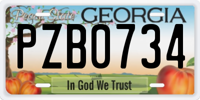 GA license plate PZB0734