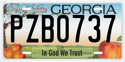 GA license plate PZB0737