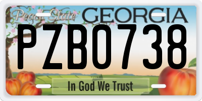 GA license plate PZB0738