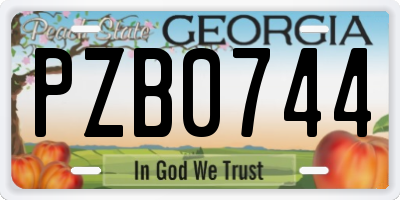 GA license plate PZB0744