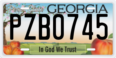 GA license plate PZB0745