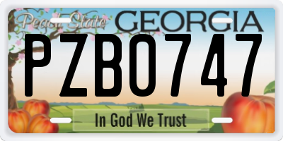 GA license plate PZB0747
