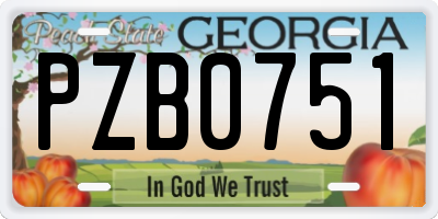 GA license plate PZB0751