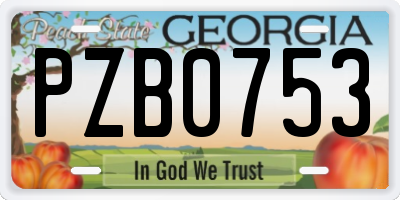 GA license plate PZB0753