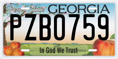 GA license plate PZB0759