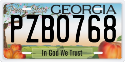 GA license plate PZB0768