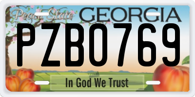 GA license plate PZB0769