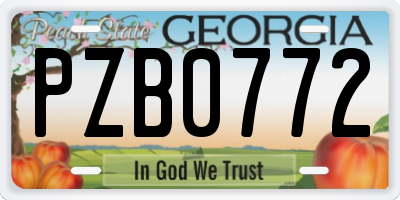 GA license plate PZB0772