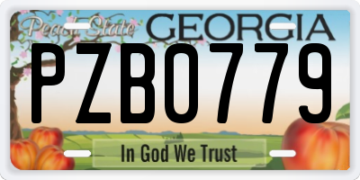 GA license plate PZB0779