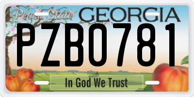 GA license plate PZB0781