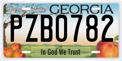 GA license plate PZB0782