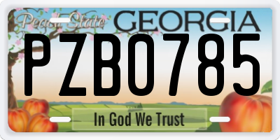 GA license plate PZB0785