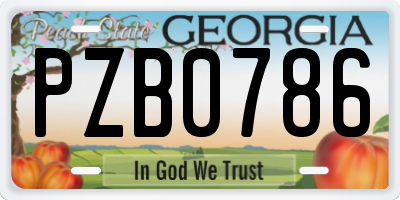 GA license plate PZB0786