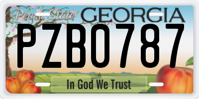 GA license plate PZB0787