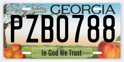 GA license plate PZB0788