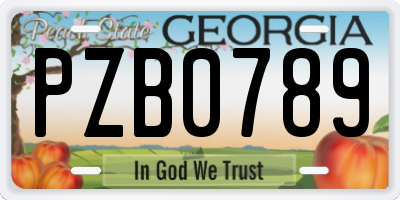 GA license plate PZB0789