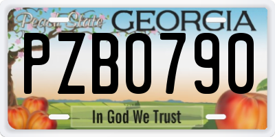 GA license plate PZB0790