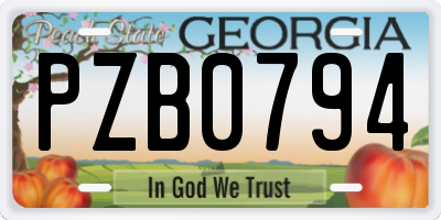 GA license plate PZB0794