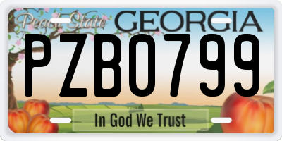 GA license plate PZB0799