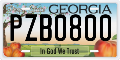 GA license plate PZB0800