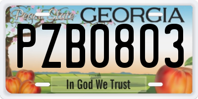 GA license plate PZB0803