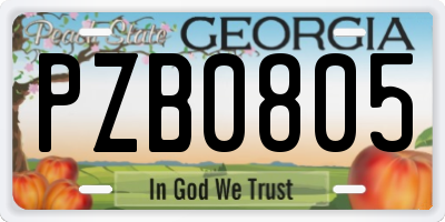GA license plate PZB0805
