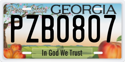 GA license plate PZB0807