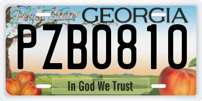 GA license plate PZB0810