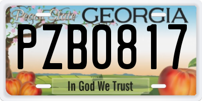 GA license plate PZB0817
