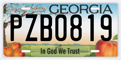 GA license plate PZB0819