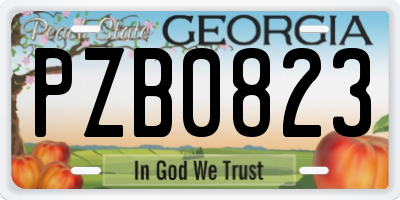 GA license plate PZB0823