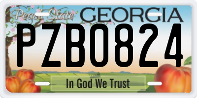 GA license plate PZB0824