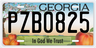 GA license plate PZB0825