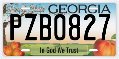 GA license plate PZB0827