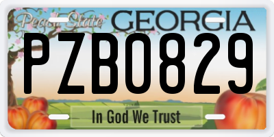 GA license plate PZB0829